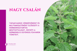 csalán