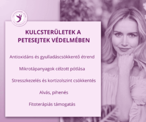 kulcsterületek-a-petesejtek-védelmében