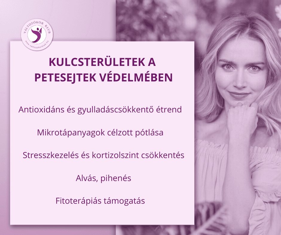 kulcsterületek-a-petesejtek-védelmében