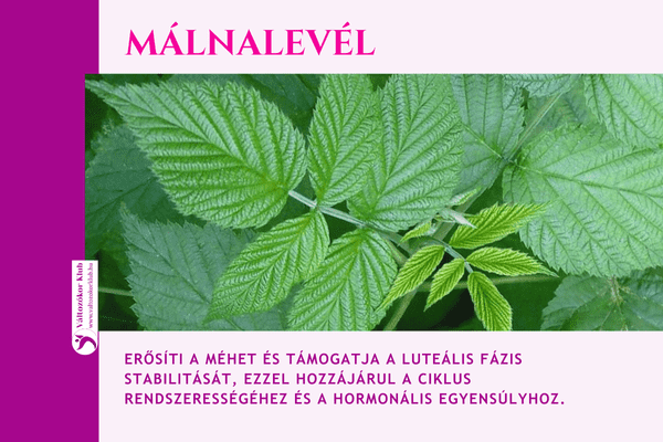 málnalevél