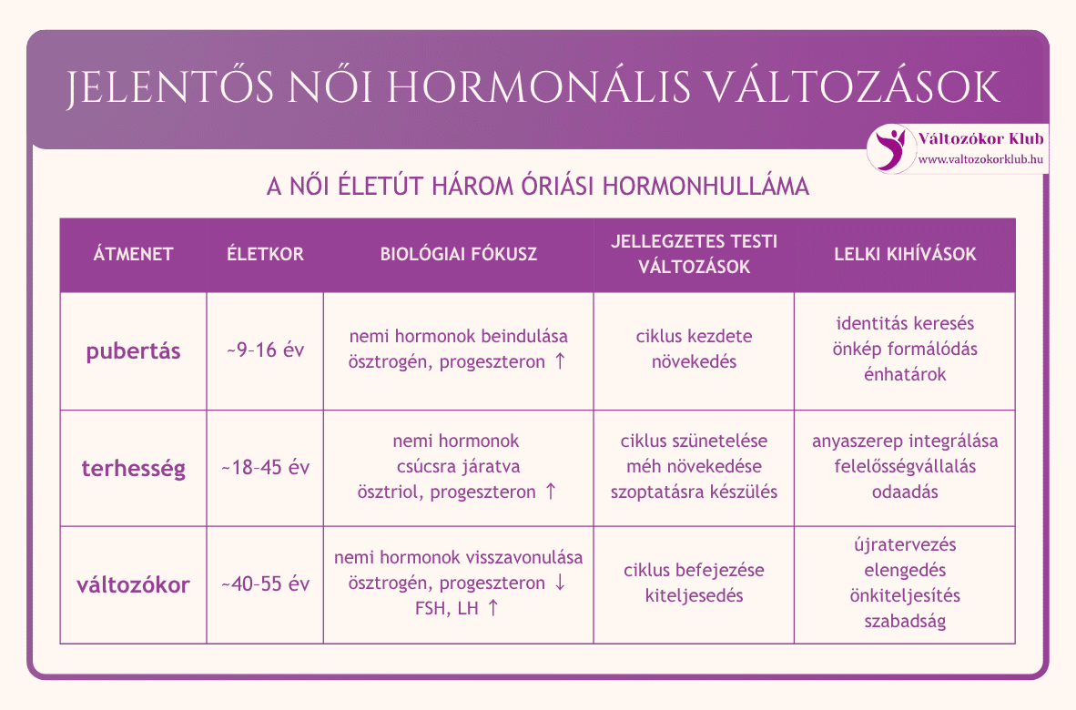 a-női-életút-három-óriási-hormonhulláma a-női-életút-három-óriási-hormonhulláma