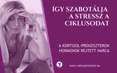 ÍGY SZABOTÁLJA A STRESSZ A CIKLUSODAT
