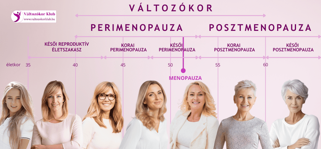 változókor-szakaszai