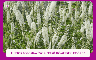 MAGAZIN 8 FÜRTÖS POLOSKAVÉSZ A BELSŐ HŐMÉRSÉKLET ŐRE