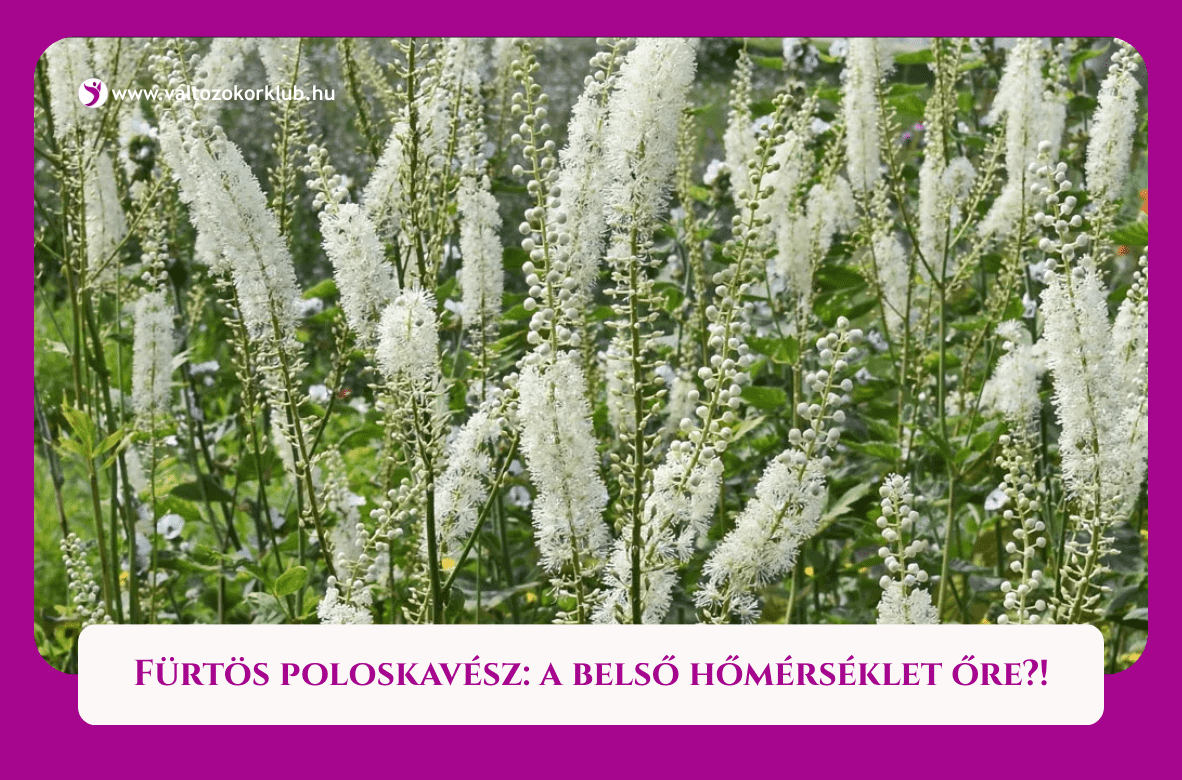 Fürtös poloskavész a belső hőmérséklet őre