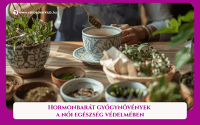 MAGAZIN 6 HORMONBARÁT GYÓGYNÖVÉNYEK A NŐI EGÉSZSÉG VÉDELMÉBEN