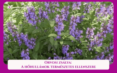 MAGAZIN 1 ORVOSI ZSÁLYA: A HŐHULLÁMOK TERMÉSZETES ELLENSZERE