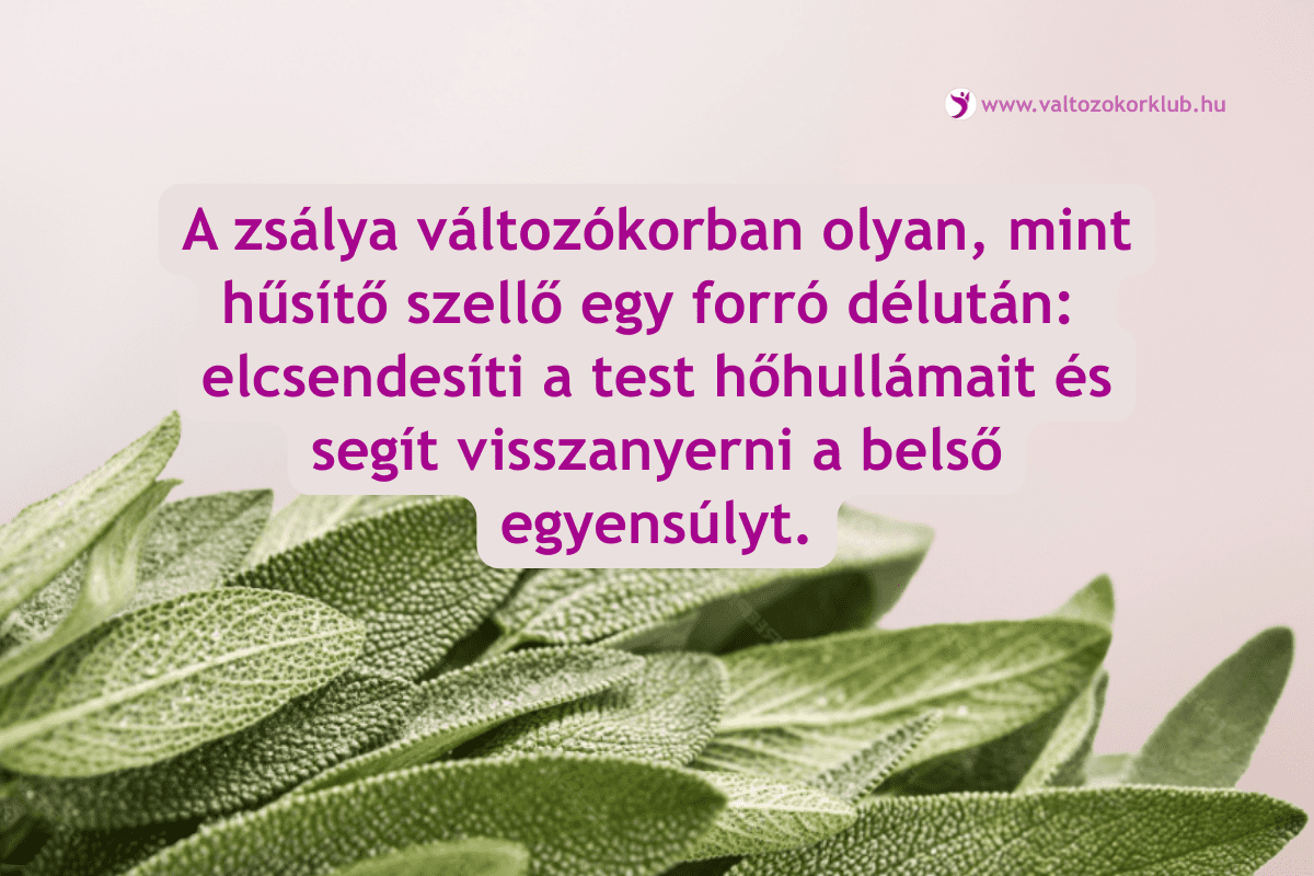 zsálya, hőhullám,  változókor