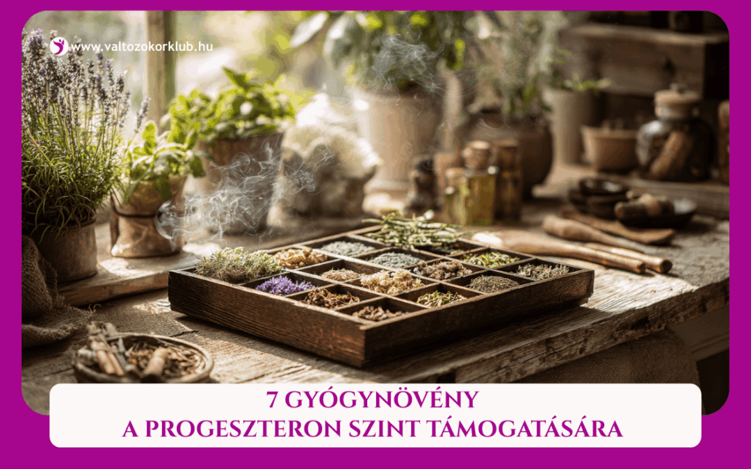7 GYÓGYNÖVÉNY A PROGESZTERON SZINT TÁMOGATÁSÁRA, A HORMONEGYENSÚLY FENNTARTÁSÁRA