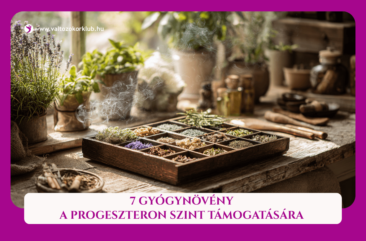7 gyógynövény a progeszteron szint támogatására